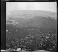 Double bow knot of the Mt. Tamalpais and Muir Woods Railroad, viewed from Mount Tamalpais, Marin County, about 1900