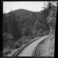 Railroad tracks of the Mt. Tamalpais and Muir Woods Railroad curving around a mountainside, Marin County, about 1900