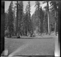 Mary and Frances West stand near cars and a campsite, Burney vicinity, 1915