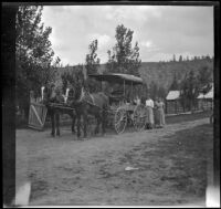 Mary West and Mary Bidwell stand behind a horse-drawn cart with other women, Shasta County vicinity, 1915