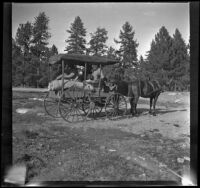 Charles "Mack" Bidwell driving a carriage carrying Adolph Bystle and James Bidwell, Shasta County vicinity, 1915