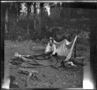 Wilfrid Cline, Jr. sitting on his camp bedding, Trinity County, 1917