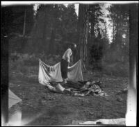 Wilfrid Cline, Jr. getting up out of his camp bedding in the morning, Trinity County, 1917