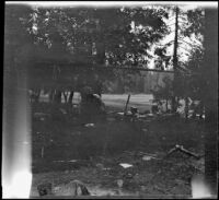 Someone standing by the camp stove with a plate, Trinity County, 1917
