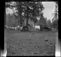 Distant view of the campsite, Burney Falls vicinity, 1917