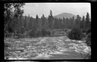 Eagle Creek empties into the Trinity River, Trinity County, 1917