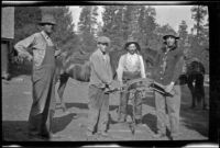 Wilfrid Cline, Jr., Harry Schmitz, John Bidwell and Bidwell's neighbor pose with a bear trap, Burney Falls vicinity, 1917