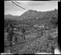 View overlooking the countryside between Truckee and Lake Tahoe, Truckee vicinity, 1917