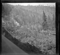 Southern Pacific Railroad train traveling through a canyon, Shasta County, about 1904