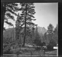 Castle Crags viewed at a distance from a moving train, Shasta County, about 1906