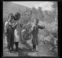 Frances West pulling a fish from the stream as Lynn McClellan and Irene Schmitz watch, June Lake vicinity, 1914