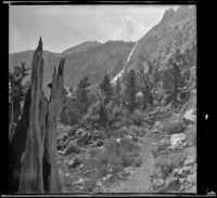 View looking along a trail and up a mountainside near Silver Lake, June Lake vicinity, 1914