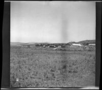 Distant view of some farms, Santa Ynez, 1913