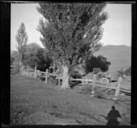 Campsite at the foot of the Glenbrook grade, viewed from an adjacent pasture, Carson City vicinity, 1913