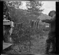 Dave F. Smith holding a string of fish by Silver Lake, June Lake (vicinity), 1913