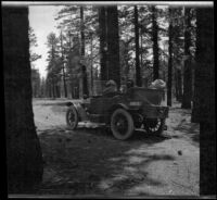 Mary A. West and Nella A. West riding in H. H. West's Buick through the pines, Mono County, 1913