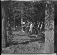 Dave F. Smith, Mary A. West and Nella West standing in the campsite among the pines, Mammoth Lakes, 1913