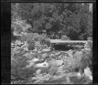 Cottonwood Creek flowing under a bridge near the Smith-West tour party campsite, Inyo County, 1913
