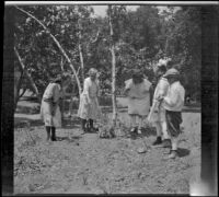 Elizabeth West, Frances West, Irene Schmitz, Chester Schmitz and an unknown girl play with a pet monkey in camp, Warner Springs vicinity, about 1915