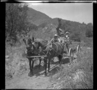 Will P. Mead, Mary A. West, Sena Mead and Paul Mead traveling through San Gabriel Canyon by wagon, San Gabriel Canyon, about 1903