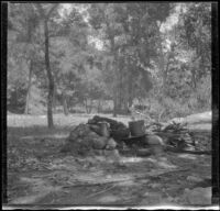 Pots and pans sit on the stove in the West and Mead party's campsite, San Gabriel Canyon, about 1903