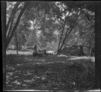 West and Mead party's campsite, viewed at a distance, San Gabriel Canyon, about 1903