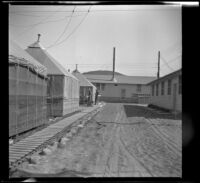 Tents and the mess hall at Camp San Luis Obispo, San Luis Obispo, 1942