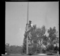 Joe Pike climbs a pole at the Rubber Men's Picnic, Santa Monica Canyon, about 1908