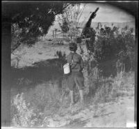 Wilfrid Cline, Jr. fishes in Taboose Creek, Big Pine vicinity, about 1918