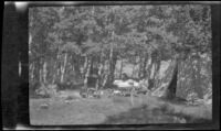West and Schmitz party campsite set up at Twin Lakes, Bridgeport vicinity, about 1922