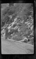 Al Schmitz stands next to a spring along the Tioga grade, Tioga Pass, about 1922
