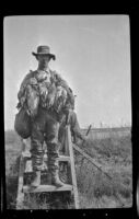 Keeper E. D. Hardy stands atop a stile and poses with strings of ducks, Seal Beach vicinity, 1916