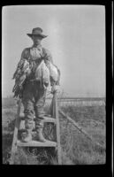 Keeper E. D. Hardy poses with strings of ducks while standing atop a stile, Seal Beach vicinity, 1916