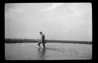 Glen Velzy wades through a pond and retrieves a duck he shot, Seal Beach vicinity, 1917