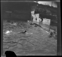 People swim in a pool at Verdugo Estates, Glendale, about 1930