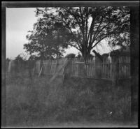 Cemetery standing on the east side of town, Yreka, 1898