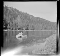 Madison River flowing through Yellowstone National Park, Yellowstone National Park, 1942
