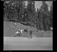 Horse and rider run up a hillside, Government Camp vicinity, 1942
