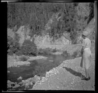 Mertie West looking at a creek, Leggett vicinity, 1942