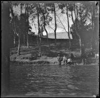 Boys and men fish on the banks of the lake at Hollenbeck Park, Los Angeles, about 1898