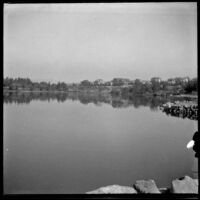 Lake in MacArthur (Westlake) Park with houses in the distance, Los Angeles, about 1898