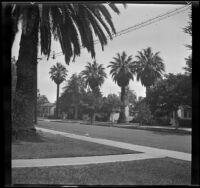 Houses stand in a row along Avenue 24, Los Angeles, 1936