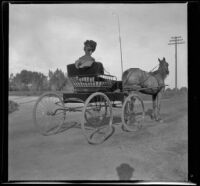 Mertie Whitaker [West] rides in a horse-drawn carriage, San Gabriel vicinity, 1901