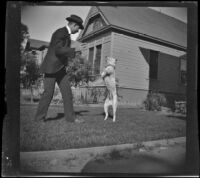 Guy West plays with a dog, Los Angeles, about 1899