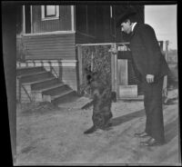 Wilson West plays with Guy West's dog, Los Angeles, about 1899