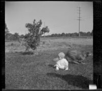 Baby Ambrose Cline sits on the grass at John Teel's ranch, Los Angeles, [about 1915]
