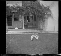 H. H. West Jr. sits in a tub in the West's backyard, Los Angeles, about 1918