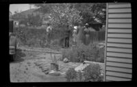 Alvin Anderson helps Paul Brooks and his family get some flowers from Frank Cornett's backyard, Los Angeles, 1939