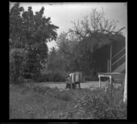 Backyard of the West's home at 2223 Griffin Avenue, Los Angeles, 1943
