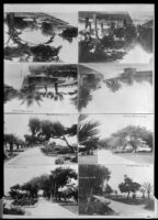 Eight postcard view of Palisades Park, Santa Monica, 1915-1925